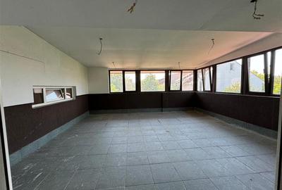 Vila Iancu Nicolae // 450 mp utili // 841 mp teren // Necesita renovare - 22