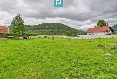 Casă în localitatea Gurahonț - Arad, teren 2914 mp - 13