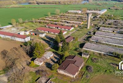 De vanzare Complex Zootehnic Suine Jud. Arad SU 15.30ha, Ferma, Grajd - 6