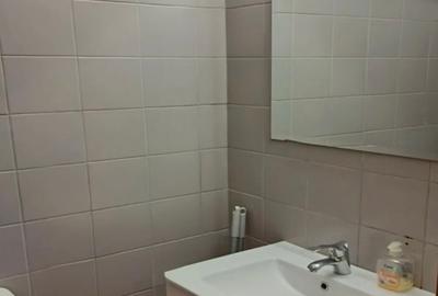 Apartament 2 camere cu vedere panoramica zona Tineretului - 4