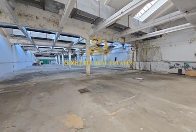 Platforma Industriala-8 ha -Fabrica-Hale Productie-21.500 mp - 10