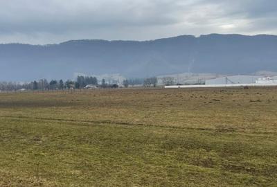 Teren Construcții intravilan de 11500 mp, în Bartolomeu - 8