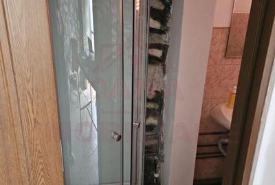 CASĂ DE VÂNZARE ÎN POUANA MĂRULUI,JUD. CARAȘ-SEVERIN - 13