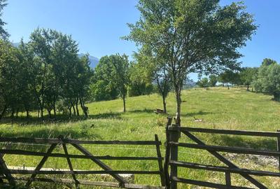 Teren Sohodol cu vedere catre M-tii Bucegi - 6