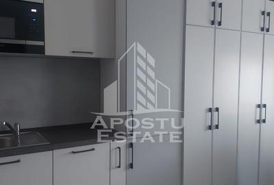 Studio in Remetea Mare - 5