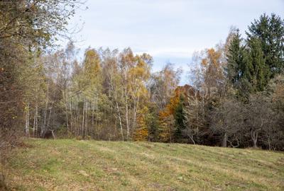 Teren intravilan, cu PUZ, Bran Tohanita,  SE ACCEPTĂ ȘI SCHIMB - 6