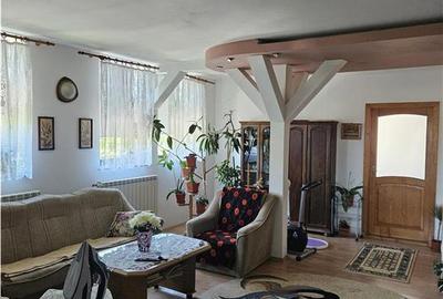 Vila spatioasa, hale si teren total 1700 mp, Calea Surii Mici, Sibiu - 12