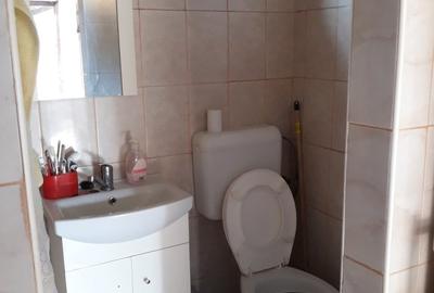Vand casa cu 3 camere + dependinte, teren 320 mp, sat Ibanesti, str. Principala - 8