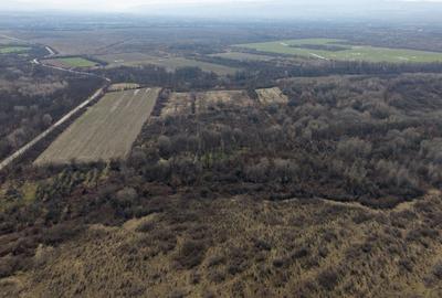 Teren extravilan 95.23 ha lângă Caransebeș - 20