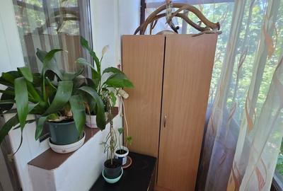 Apartament cu 2 camere Dambu Pietros - 13