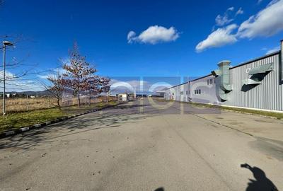 BRASOV-GHIMBAV | INCHIRIERE HALA +SHOWROOM | 6500 MP CONSTRUITI - 8