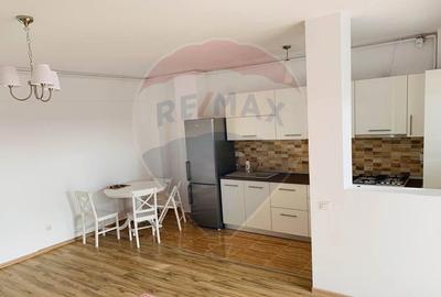 Apartament tip Studio- Rams Dudesti-Pantelimon 42 - 1