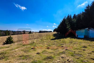 Proprietar | Teren Panoramic+PUZ + Cabana | Drumul Paltinisului |746mp - 13