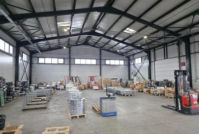 Vanzare depozit/hala/spatiu industrial Theodor Pallady - Drumul Intre Tarlale - - 9