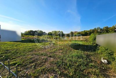 Teren autorizat pentru casa duplex | 192mp util | Borhanci - 7