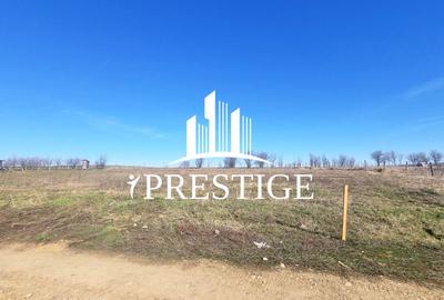 TEREN EXTRAVILAN 873 MP DE VÂNZARE ȘURA MICĂ | POTENȚIAL INTRAVILAN - 7