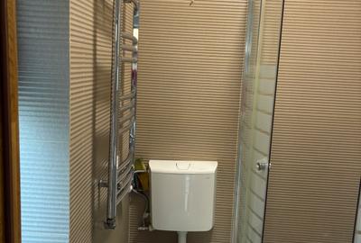 Apartament 2 camere parter in vila - 3