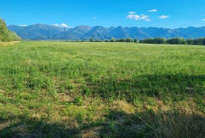 OPORTUNITATE REZIDENTIALA TEREN INTRAVILAN GENEROS 17.526 FAGARAS - 2