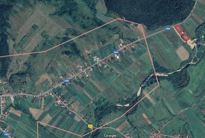 Teren extravilan 5.800 mp – Prodanesti, com. Creaca, jud. Sălaj - 4