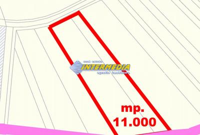 Teren Intravilan Constr Industriale 11800 mp PUZ utilitati Zona Carolina Mall - 1