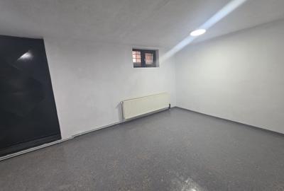 Inchiriez spatiu depozitare demisol Gemenii - 4