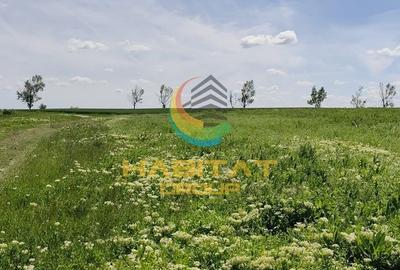 Teren intravilan – 450 mp, pe malul lacului, utilitati la lot - 8