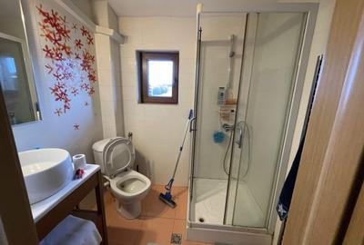 VILA P+1, Su = 350 mp.Teren 2000 mp + ANEXA,la DN 65- Valea Mare - 16