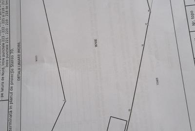 Teren Intravilan - 1