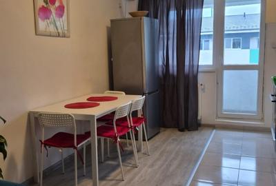 Apartament cu 2 camere nedecomandat, mobilat în Roșu