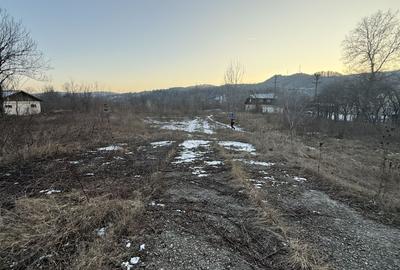 Teren intravilan construcții, industrial suprafață 3900 mp - 9