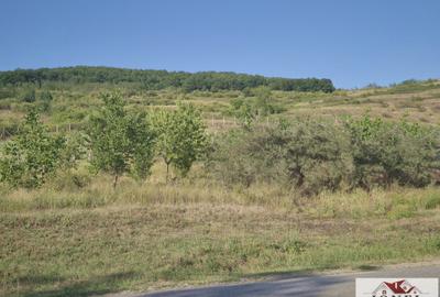 Teren intravilan 2500 mp de vanzare in Ciugud - Teleac - 1