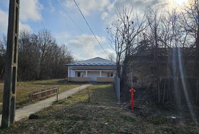 Vanzare amplasament industrial-servicii Tatarasti, Teleorman - 7