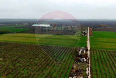 Ferma agro-industrială – 43 ha Adunații Copaceni - 8