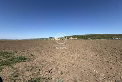 TEREN EXTRAVILAN DE VANZARE | 23 EURO/MP | 2900 MP | ZONA AEROPORT - 3