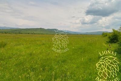 Teren 13100 mp-parcelabil-ideal cabana/agricultura-Orheiul Bistritei - 1