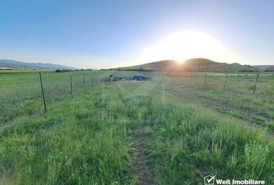Teren de vanzare – 900 mp si 2000 mp, zona centura Donath - Floresti - 5