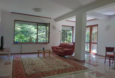 Vila de vanzare in Snagov in vecinatatea padurii - 6