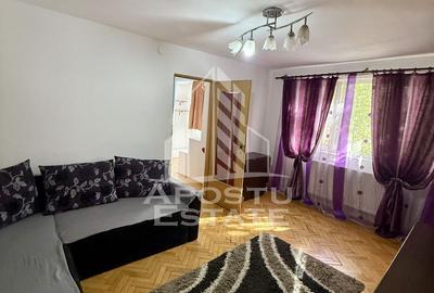 Apartament 2 camere de inchiriat, Dambovita, Timisoara - 2