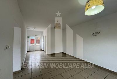 Spatiu comercial | Spatiu birouri | Curte | Terasa | Sebes - 6