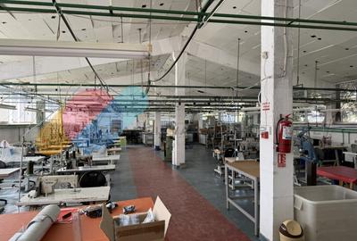 Complex industrial de vânzare – 2 hale producție + clădire birouri + parcare, ac - 9