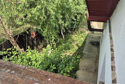 Proprietate deosebita de vanzare | Casa, 13.200 mp teren, doua iazuri cu peste | - 22