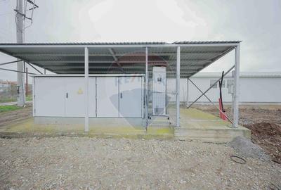 De vânzare – 2 hale industriale, 5.050 mp utili, Palota - 9