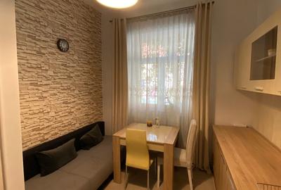 Apartament de închiriat, 1 cameră, 50 mp, zona Piața Muzeului - 8