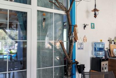 Casa vacanta delta dunari vânzare - 10