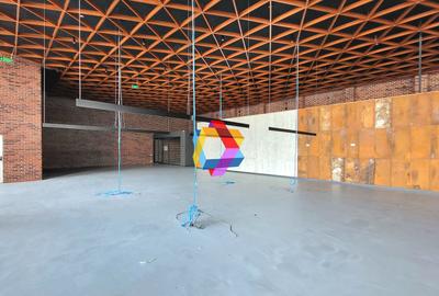 Spatiu  comercial - Showroom - 780 mp #plus-imo.ro - 6