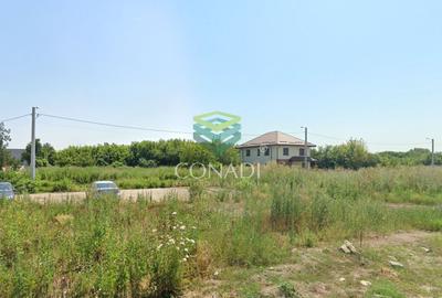 Teren pentru dezvoltare industriala/mixta Otopeni - langa Metrou - 4