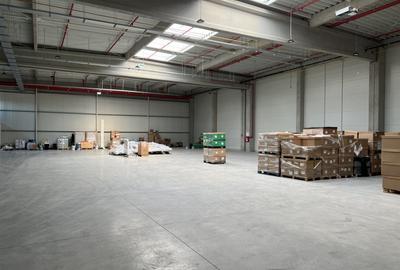 Hala moderna / Productie / Depozitare - 4