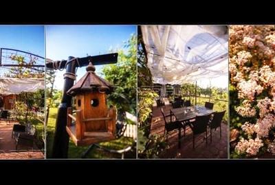 Ansamblu de proprietati in Costinesti - 24