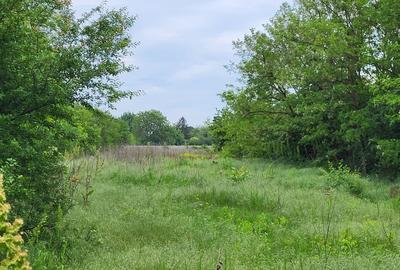 Snagov Teren de vânzare – oportunitate cu potențial investițional intre case - 5