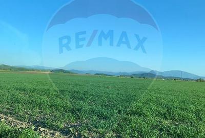 PUZ aprobat | Complex Agroturistic, Unități de Cazare, Restaurant - 11